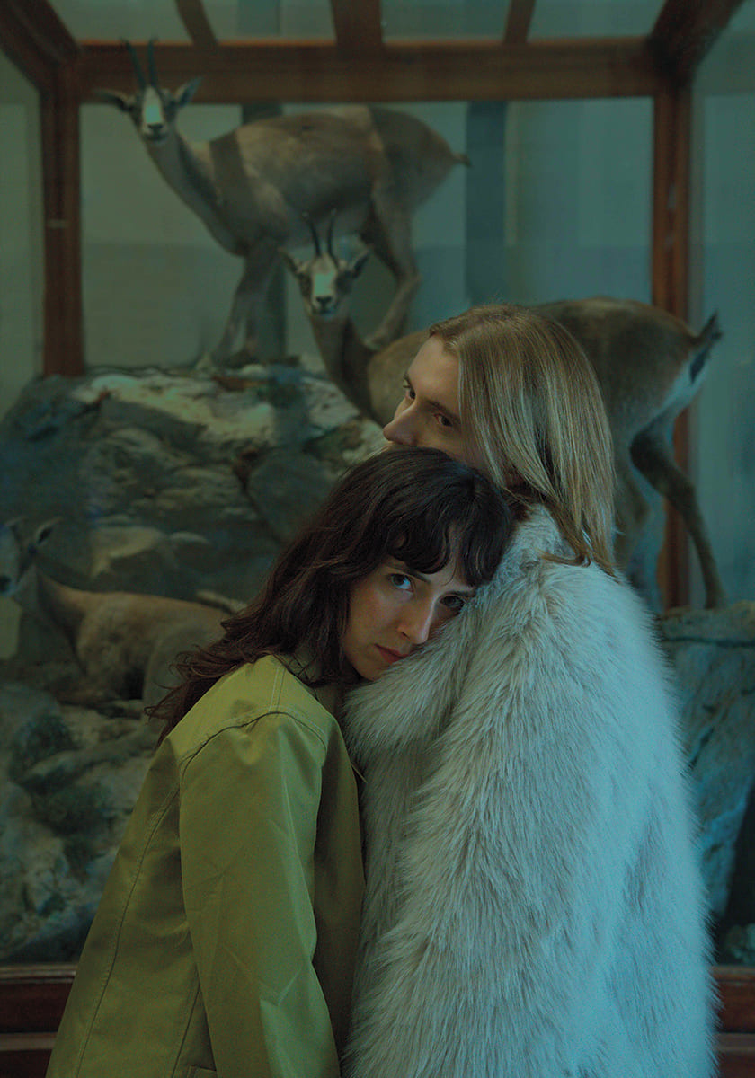 Taxidermia de una alondra- imagen 4