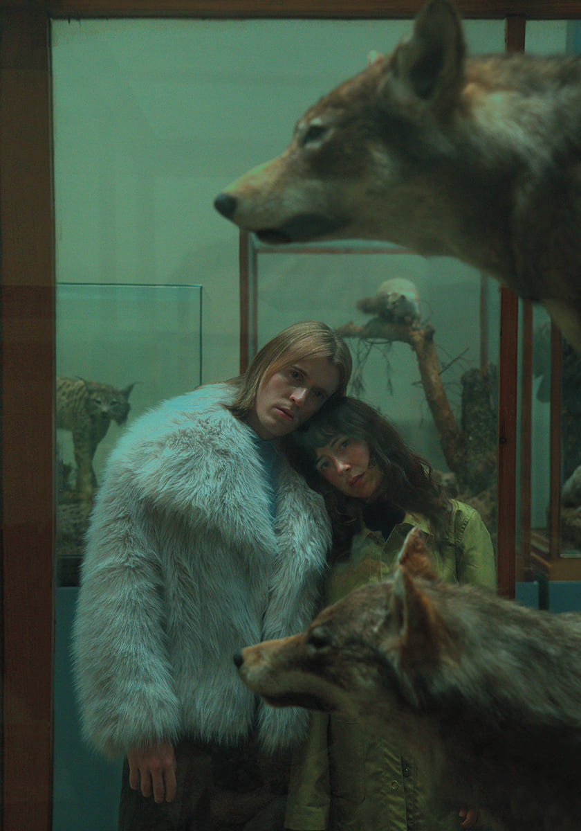 Taxidermia de una alondra- imagen 5